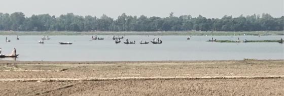 image-here